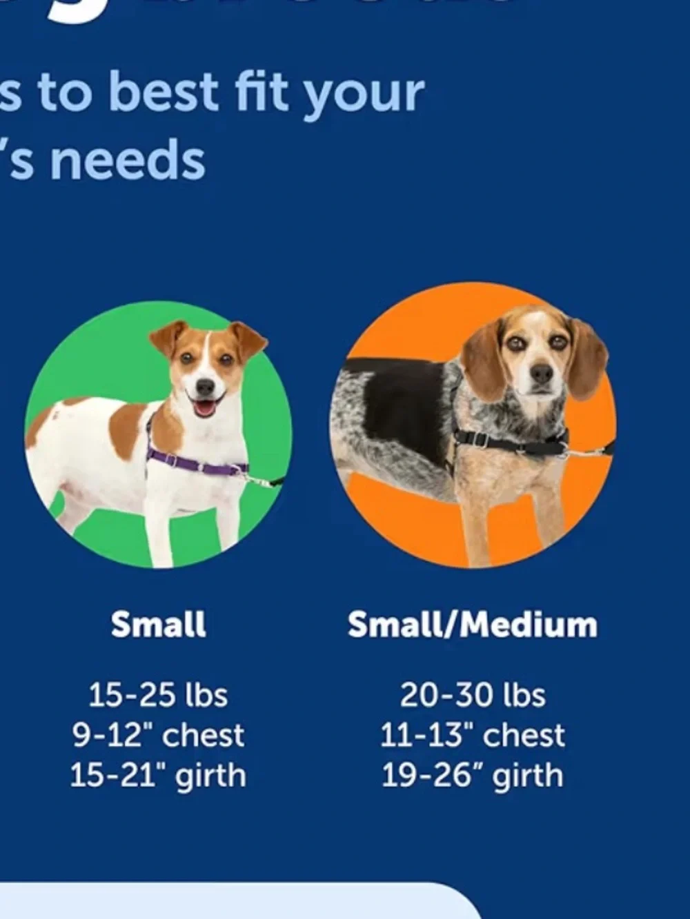 N/A new petsafe